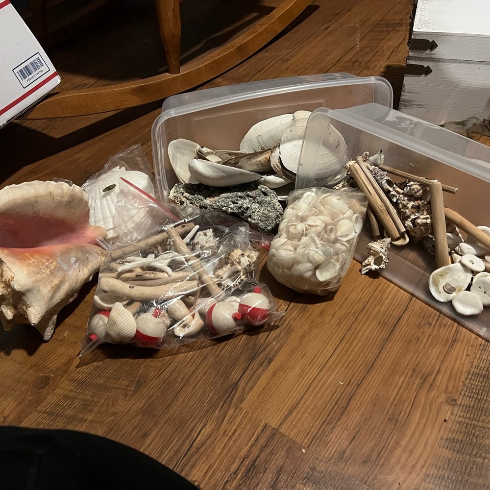Large bulk of shells, drift wood and other